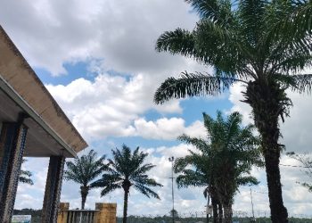 Suhu Bulungan Capai 35°C, Waspada Perubahan Cuaca