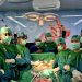 RSUD dr. H. Jusuf SK Sukses Lakukan Operasi Jantung ke-15 di Kaltara