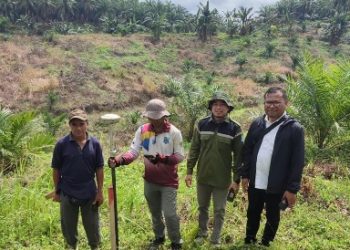 Tak Boleh Abu-Abu, PLN UIP KLT Tertibkan Aset Tanah di Paser