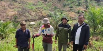 Tak Boleh Abu-Abu, PLN UIP KLT Tertibkan Aset Tanah di Paser