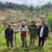 Tak Boleh Abu-Abu, PLN UIP KLT Tertibkan Aset Tanah di Paser