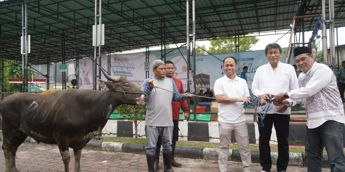 Tebar Semangat Iduladha, PLN UIP KLT Salurkan 9 Hewan Kurban untuk Masyarakat