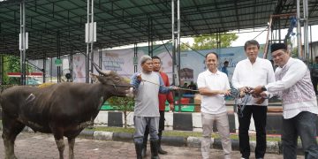 Tebar Semangat Iduladha, PLN UIP KLT Salurkan 9 Hewan Kurban untuk Masyarakat