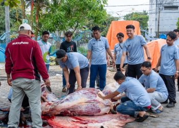 Momen Iduladha, Sucofindo Tarakan Salurkan Daging Kurban untuk Karyawan dan Warga Sekitar