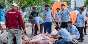 Momen Iduladha, Sucofindo Tarakan Salurkan Daging Kurban untuk Karyawan dan Warga Sekitar