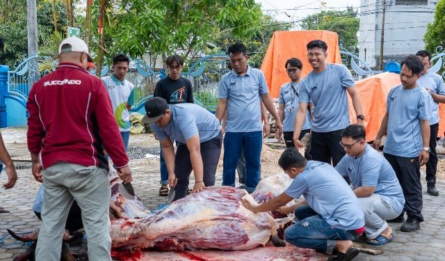 Momen Iduladha, Sucofindo Tarakan Salurkan Daging Kurban untuk Karyawan dan Warga Sekitar