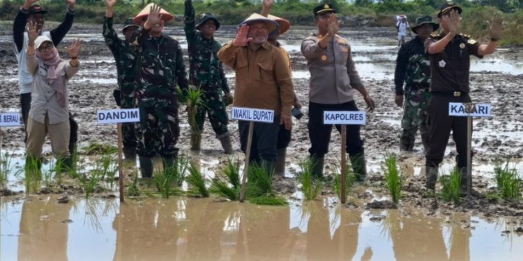 Program Cetak Sawah di Berau Telah Mencapai 425 Hektare