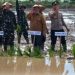 Program Cetak Sawah di Berau Telah Mencapai 425 Hektare