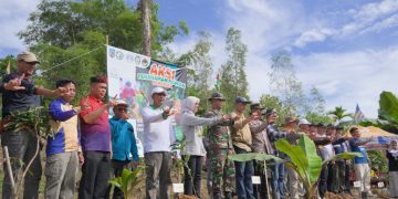 Aksi Tanam Pohon Hutan Gunung Selatan, Jadi Upaya Mitigasi Iklim
