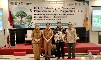 Perlindungan Mangrove, Prioritas Program FP VI di Kaltara