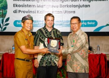 Perkuat Perlindungan Mangrove, Pemprov Kaltara Lakukan Forest Programme VI