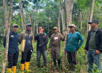Dukung Pengadaan Tanah, PLN dan BPN Kukar Ukur Lahan  Tower SUTT