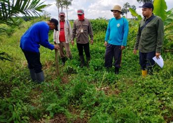 PLN dan Kantah Kukar Percepat Sertifikasi Aset SUTT Melak-Kota Bangun