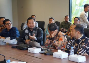 Dukung IKN Berkelanjutan, PLN dan Otorita IKN Bahas Energi Hijau