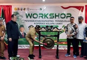 APKASINDO Kaltara Genjot Kapasitas Pengelolaan  Koperasi Sawit Lewat Workshop