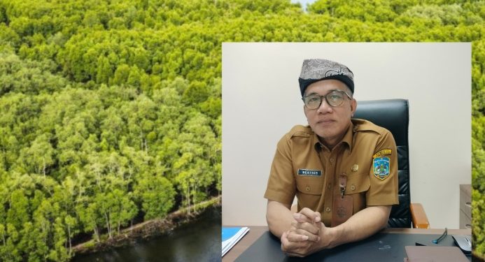 Tak Sekadar Menanam, Bapperida Pastikan Mangrove Kaltara Punya Nilai Jual