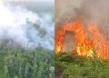 Dua Kebakaran Lahan Melanda Bulungan dalam Sehari