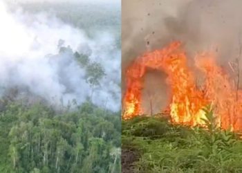 Dua Kebakaran Lahan Melanda Bulungan dalam Sehari