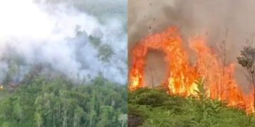 Dua Kebakaran Lahan Melanda Bulungan dalam Sehari
