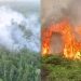 Dua Kebakaran Lahan Melanda Bulungan dalam Sehari