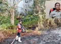 Dihantam Cuaca Panas Ekstrem, Bulungan Alami Kebakaran Lahan Beruntun