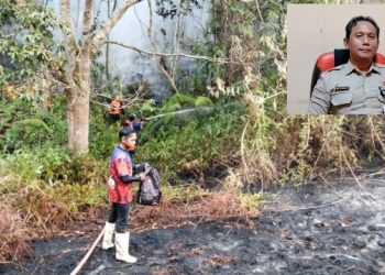 Dihantam Cuaca Panas Ekstrem, Bulungan Alami Kebakaran Lahan Beruntun