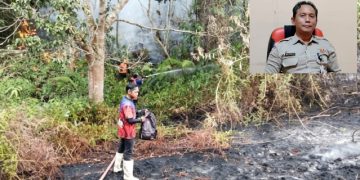 Dihantam Cuaca Panas Ekstrem, Bulungan Alami Kebakaran Lahan Beruntun