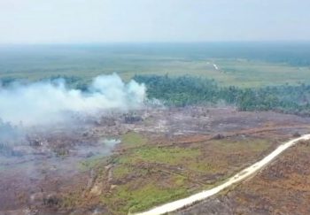 Warga Bulungan Keluhkan Asap Karhutla, Ganggu Pandangan dan Pernafasan
