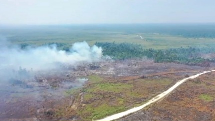 Warga Bulungan Keluhkan Asap Karhutla, Ganggu Pandangan dan Pernafasan