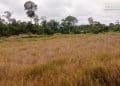 DPUPRPKP Tana Tidung, Kucurkan 2 Pos Anggaran Perbaikan Sawah di Desa Sapari