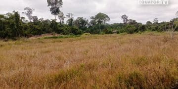 DPUPRPKP Tana Tidung, Kucurkan 2 Pos Anggaran Perbaikan Sawah di Desa Sapari