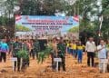 460 Pohon Endemik Kalimantan Ditanam Serentak di  Bundayati Bulungan