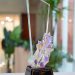 PLN UIP KLT Raih Penghargaan Platinum pada ISDA 2026 Lewat Program Electrifying Marine Tihi-Tihi