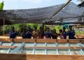 Bangun Sinergi Keamanan Pesisir, Ditpolairud Kaltara Sambangi Warga Juwata Laut
